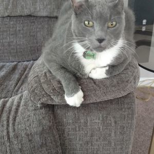 Meet your Posher, Max